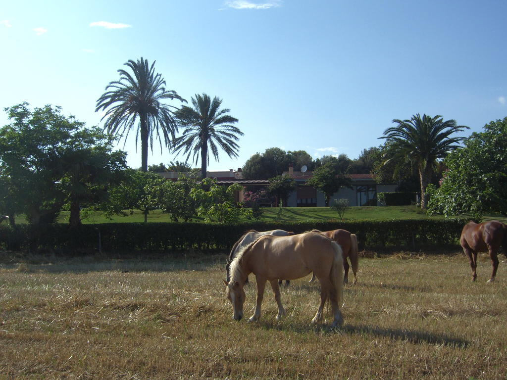 Elmas Santa Igia - Country House Bed & Breakfast エクステリア 写真